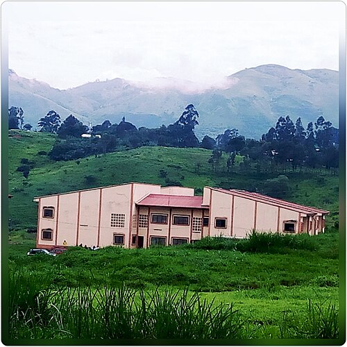 Université de Bamenda, Bamenda