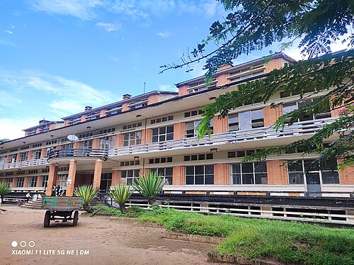 IFA-Yangambi, Tshopo