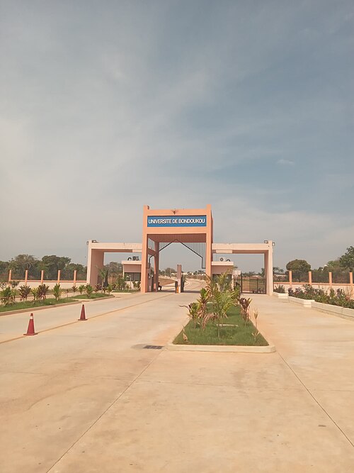 Université de Bondoukou, institution publique