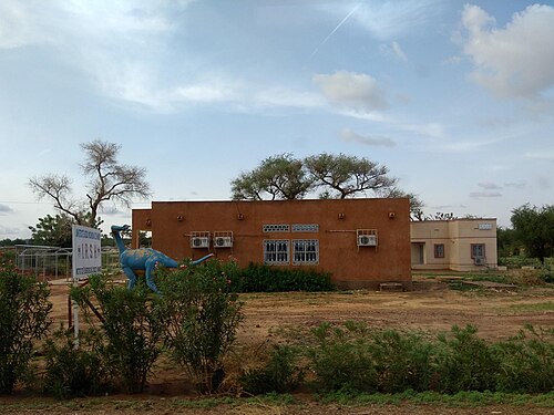 Université Abdou-Moumouni, Niamey V